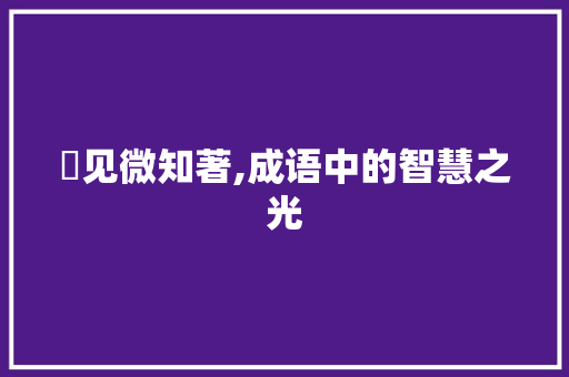 眧见微知著,成语中的智慧之光