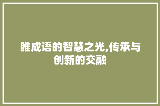睢成语的智慧之光,传承与创新的交融