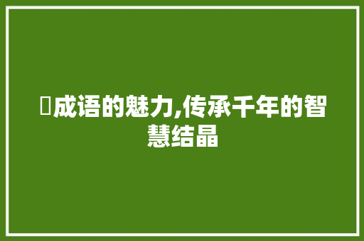窋成语的魅力,传承千年的智慧结晶