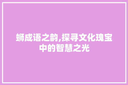 蛳成语之韵,探寻文化瑰宝中的智慧之光 工作总结