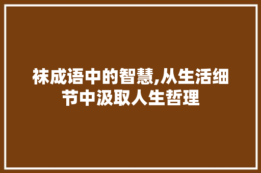 袜成语中的智慧,从生活细节中汲取人生哲理