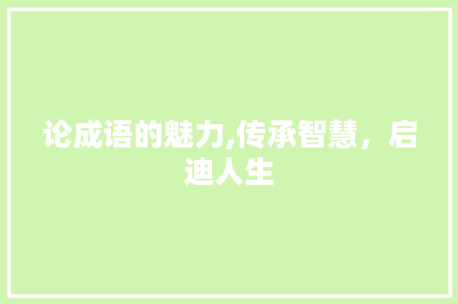 论成语的魅力,传承智慧，启迪人生