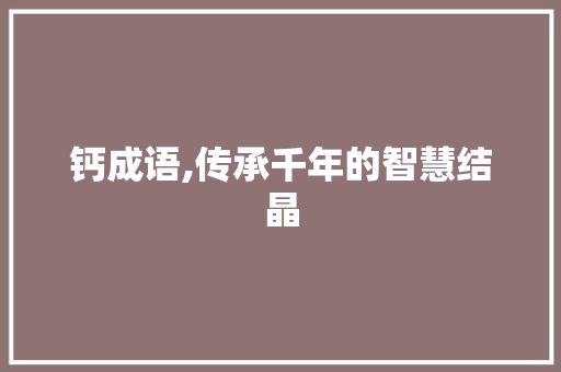 钙成语,传承千年的智慧结晶