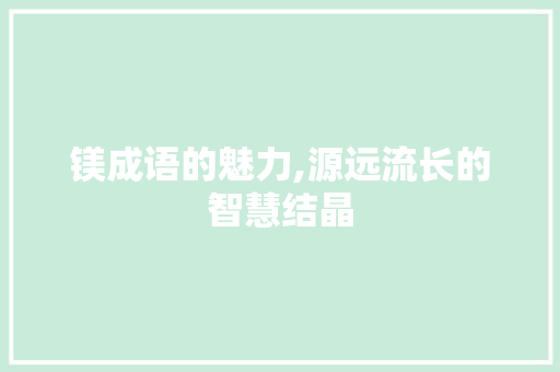 镁成语的魅力,源远流长的智慧结晶 生活感悟