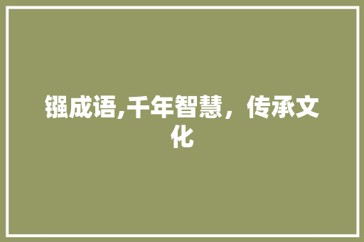 镪成语,千年智慧，传承文化 工作总结