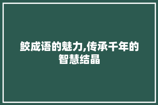 鲛成语的魅力,传承千年的智慧结晶