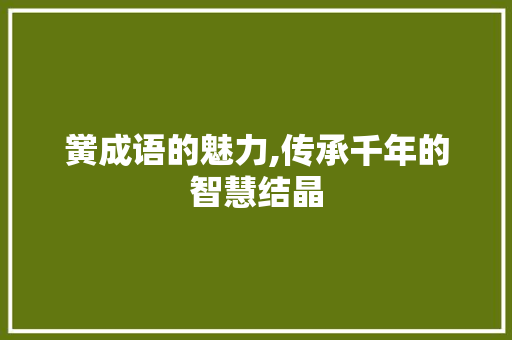 黉成语的魅力,传承千年的智慧结晶