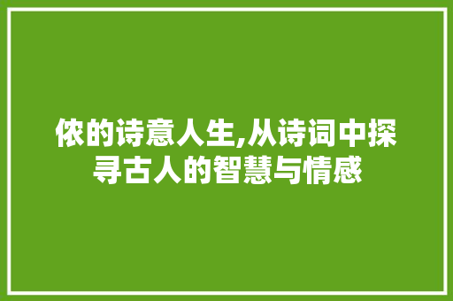 侬的诗意人生,从诗词中探寻古人的智慧与情感