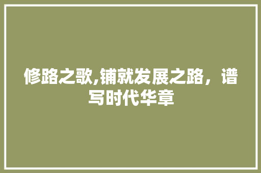 修路之歌,铺就发展之路，谱写时代华章