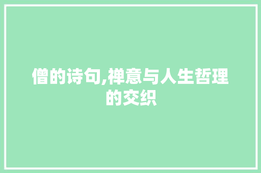 僧的诗句,禅意与人生哲理的交织