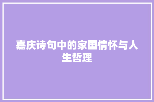 嘉庆诗句中的家国情怀与人生哲理 工作总结