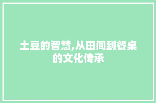 土豆的智慧,从田间到餐桌的文化传承