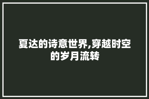 夏达的诗意世界,穿越时空的岁月流转