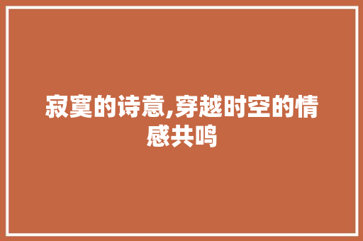 寂寞的诗意,穿越时空的情感共鸣 特写稿