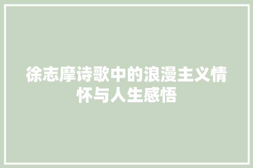 徐志摩诗歌中的浪漫主义情怀与人生感悟 采访稿