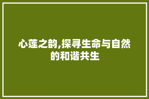 心莲之韵,探寻生命与自然的和谐共生
