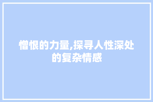 憎恨的力量,探寻人性深处的复杂情感