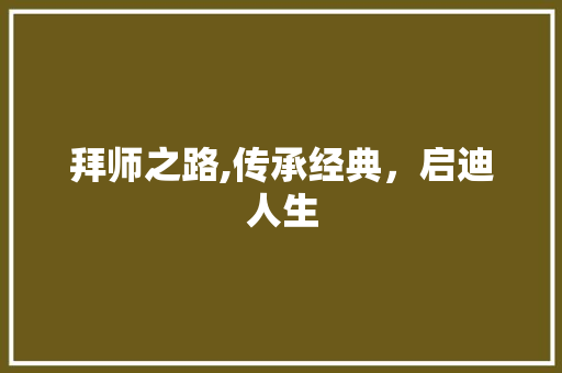 拜师之路,传承经典，启迪人生