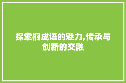 探索榈成语的魅力,传承与创新的交融