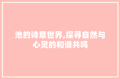 池的诗意世界,探寻自然与心灵的和谐共鸣