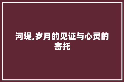 河堤,岁月的见证与心灵的寄托 工作类