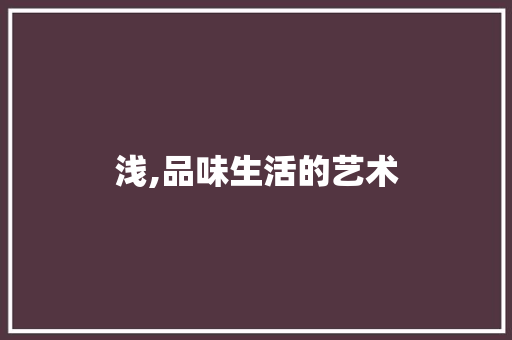浅,品味生活的艺术
