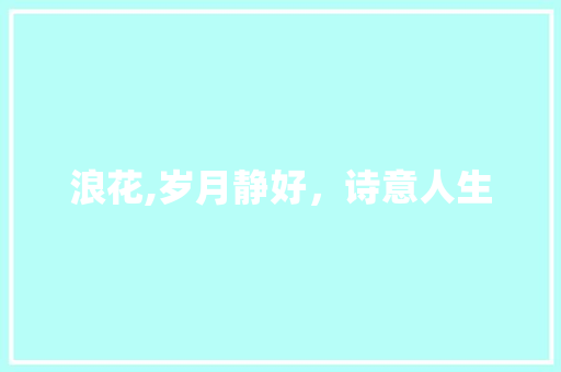 浪花,岁月静好，诗意人生 采访稿