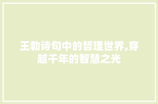 王勃诗句中的哲理世界,穿越千年的智慧之光