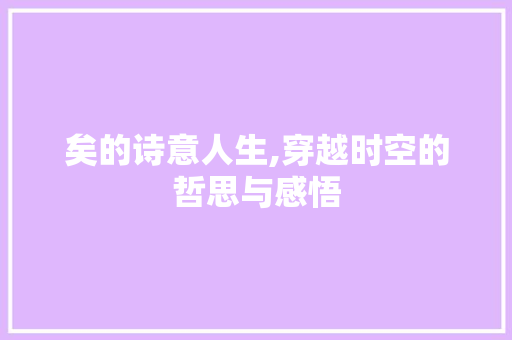 矣的诗意人生,穿越时空的哲思与感悟