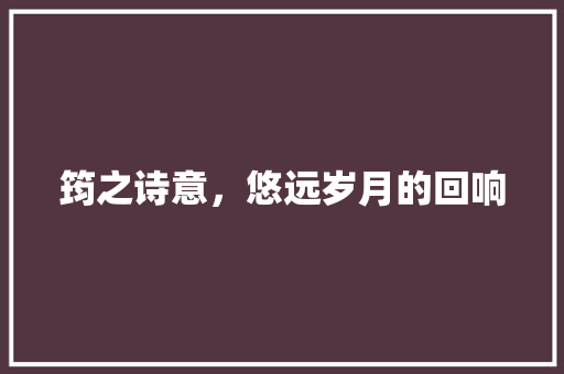 筠之诗意，悠远岁月的回响 工作报告