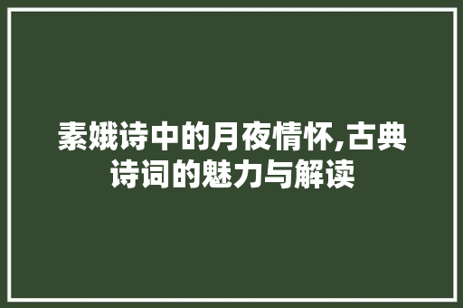 素娥诗中的月夜情怀,古典诗词的魅力与解读 工作报告