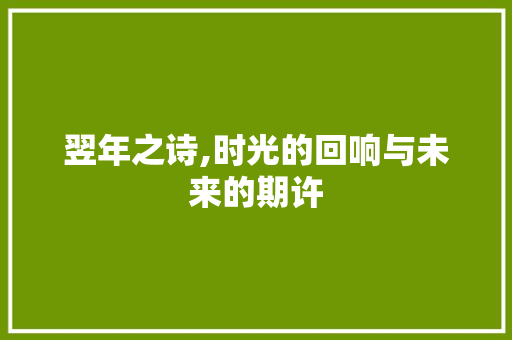翌年之诗,时光的回响与未来的期许 生活感悟