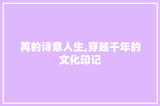 苒的诗意人生,穿越千年的文化印记