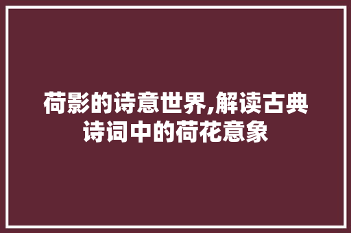 荷影的诗意世界,解读古典诗词中的荷花意象 工作报告