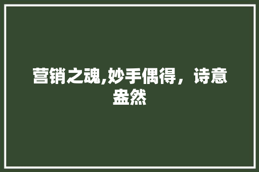 营销之魂,妙手偶得，诗意盎然
