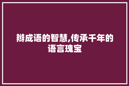 辫成语的智慧,传承千年的语言瑰宝