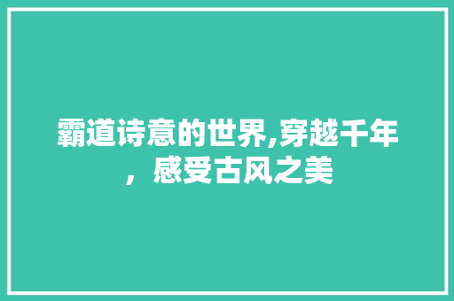 霸道诗意的世界,穿越千年，感受古风之美