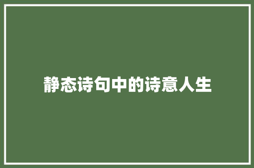 静态诗句中的诗意人生