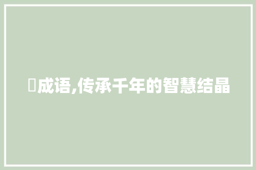 鲊成语,传承千年的智慧结晶