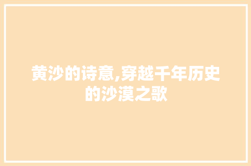 黄沙的诗意,穿越千年历史的沙漠之歌 工作总结