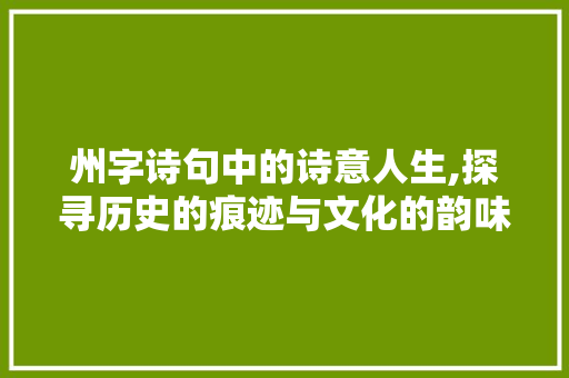 州字诗句中的诗意人生,探寻历史的痕迹与文化的韵味