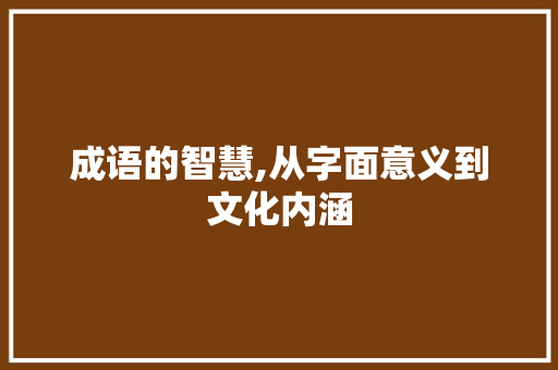 成语的智慧,从字面意义到文化内涵