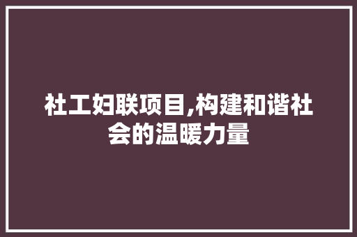社工妇联项目,构建和谐社会的温暖力量