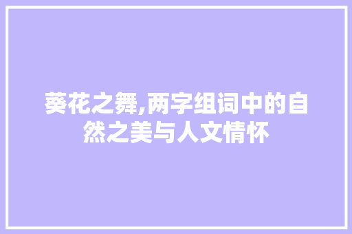 葵花之舞,两字组词中的自然之美与人文情怀