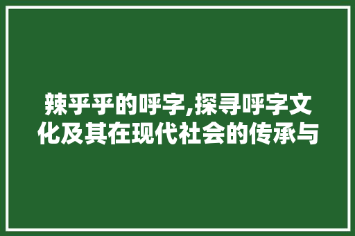 辣乎乎的呼字,探寻呼字文化及其在现代社会的传承与发展