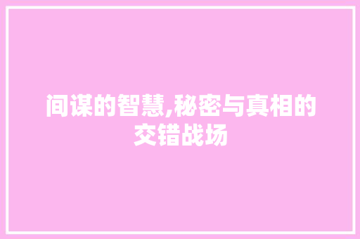 间谋的智慧,秘密与真相的交错战场 工作类