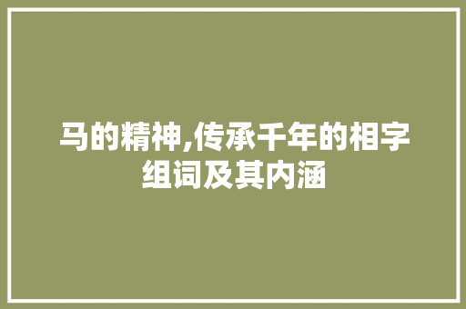 马的精神,传承千年的相字组词及其内涵