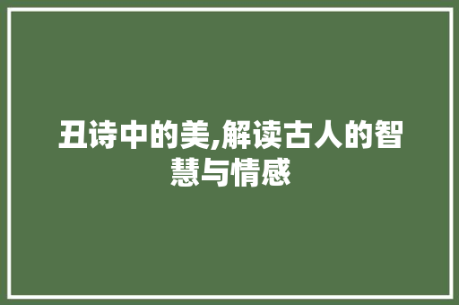 丑诗中的美,解读古人的智慧与情感