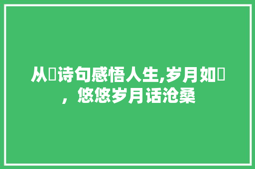 从椀诗句感悟人生,岁月如椀，悠悠岁月话沧桑 生活感悟