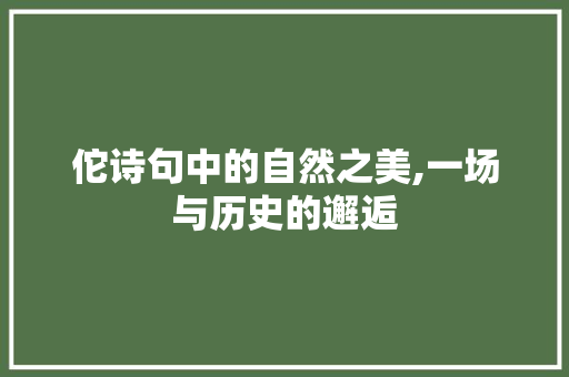 佗诗句中的自然之美,一场与历史的邂逅